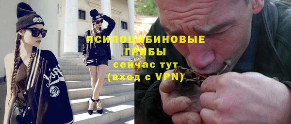 mdpv Богданович