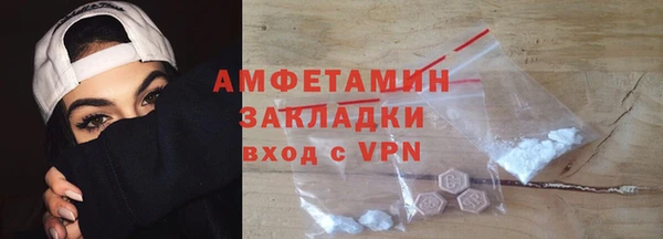 сатива Карпинск