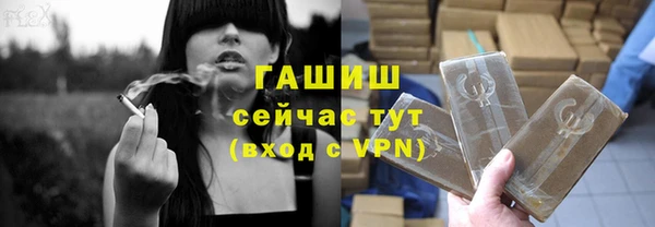 стаф Балахна