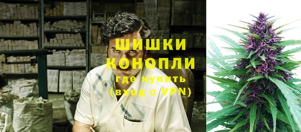 бошки Белокуриха
