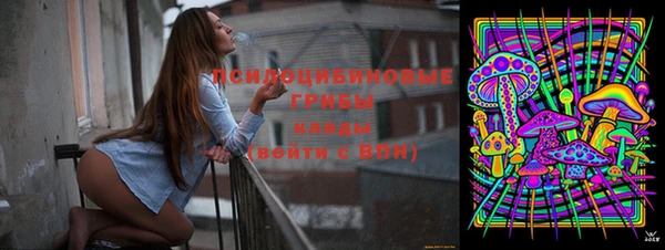 спайс Беломорск