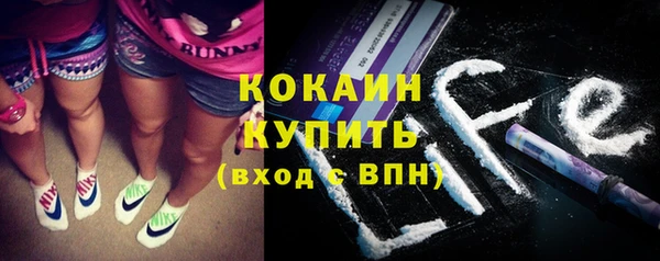 бошки Белокуриха