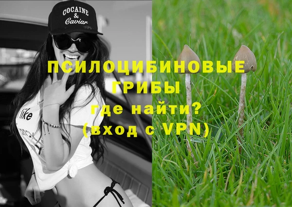 mdpv Богданович