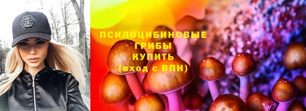бошки Белокуриха